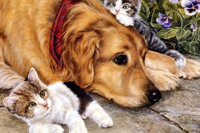 Cats: Cats Dog Animals Cat Painting Pet Free Download Wallpapers ...