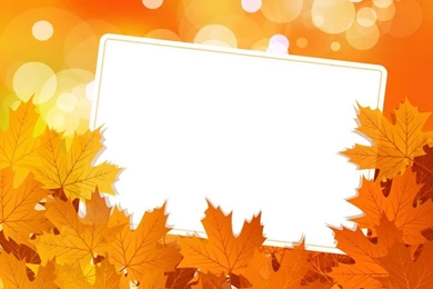 Download Free Vectors, Free Brushes, Icons, Vector Banner   Part 86