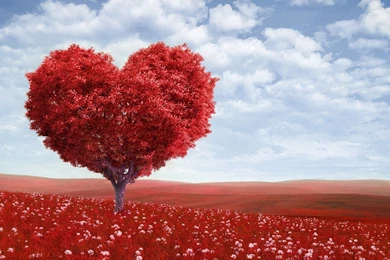 Abstract Art Tree Wallpapers Desktop Backgrounds