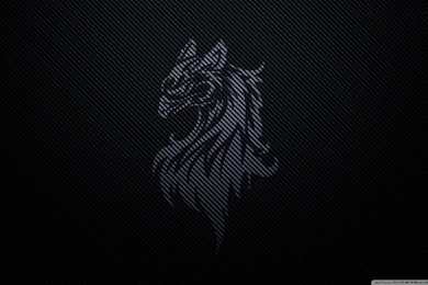 Carbon Fiber Gryffin By Betahouse HD Desktop Wallpapers ...
