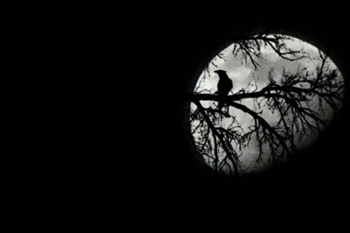 Moon Desktop Wallpaper, Moon Background, New Wallpapers