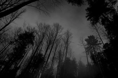 Dark Moon Phase   Wallpaper.