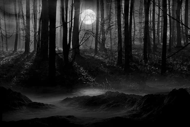 Full Moon Wallpapers   Wallpapers Cave