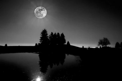 Nature & Landscape Black And White Moon Light Wallpaper. Black And ...