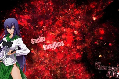 High School Of The Dead Wallpapers   Saeko Busujima By Deathvoltz ...