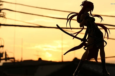 Rei Miyamoto Silhouette   Highschool Of The Dead Wallpapers   Anime ...