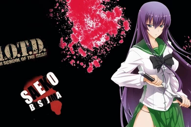 SAEKO BUSUJIMA HIGHSCHOOL OF THE DEAD WALLPAPER   (