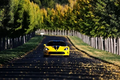 Dodge SRT Viper GTS   Free Car Wallpapers HD