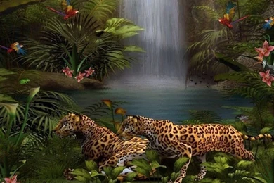 Which Would You Use For Your Desktop Background? {Round Four} Poll ...