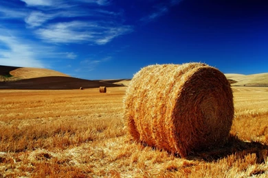 Free Scenery Wallpapers – Includes The Palhouse Fields, Bound To ...