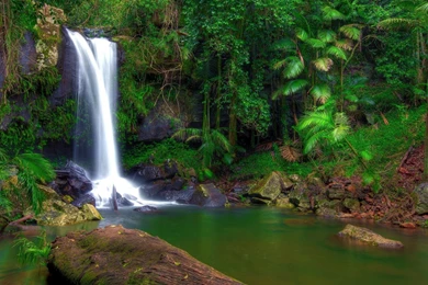 Awesome Rainforest Waterfall Scenery HD Free Desktop Pics