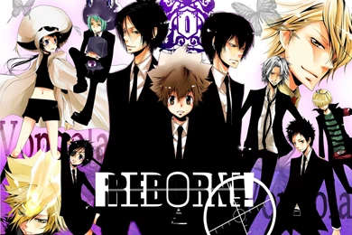 Katekyo Hitman Reborn HD Wallpapers And Backgrounds