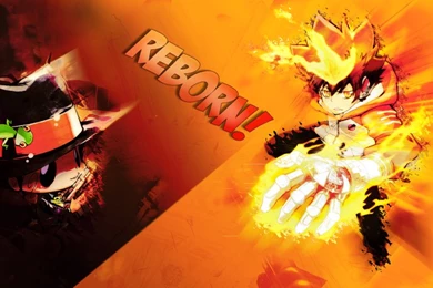 Katekyo Hitman Reborn Wallpapers By AtlasStyle On DeviantArt