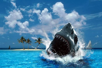 Shark week games online ajilbab com portal.jpg