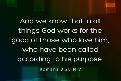 Romans 8:28 (iPhone)