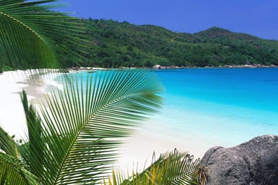 Beach Tropical Sea Beach Wallpapers2 Tropical Beach Wallpapers ...