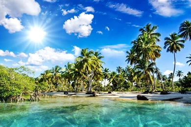 Download Tropical Beach Wallpapers Mobile