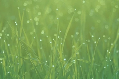 iPhone   iPhone 4/4S Stock (retina) Wallpapers?