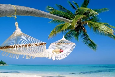Tropical Beach Hammock Wallpapers