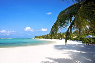 YouWall   Amazing Tropical Beach Wallpapers   Wallpaper,wallpapers ...