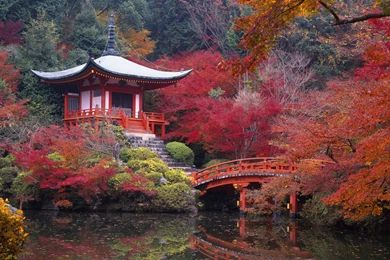 Download Autumn Paradise Wallpapers