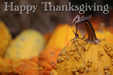 Free Thanksgiving Desktop Wallpapers For Download
