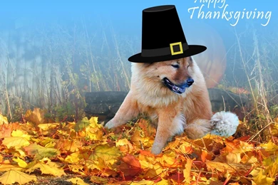 Hd Free Desktop Backgrounds Thanksgiving Computer Wallpapers ...