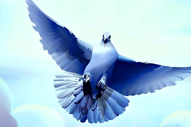 HD HQ Wallpapers Full HD High Res Wallpapers Graphics Widescreen ...