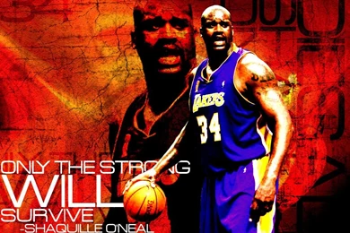 Shaquille O'Neal Basketball Player Profile Info   Sports Players