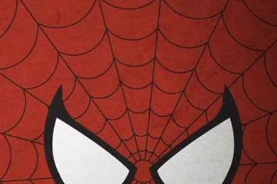 Spiderman Face And Web Galaxy S3 Wallpapers (720x1280)