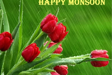 Happy Monsoon Greeting Hd Wallpapers   Wallpaperss HD