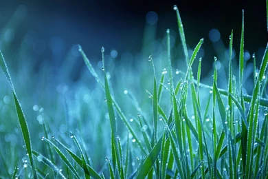 Monsoon   Page 1 HD Wallpapers