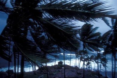 1295_1280x1024 wallpaper cb1277842833.jpg