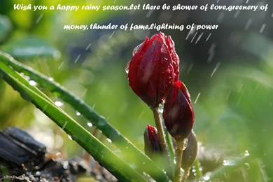 Monsoon   Page 1 HD Wallpapers