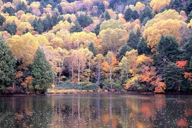 Fall Scene Wallpapers   Wallpapers Cave