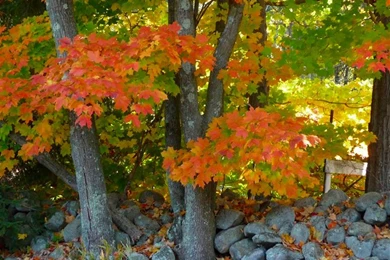 Cloudeight Free Desktop Wallpapers