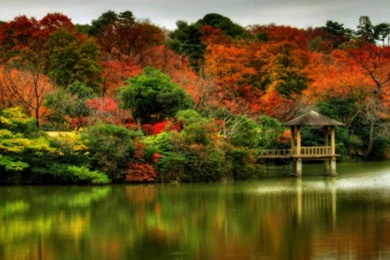 Beautiful Fall Scene (id: 96870) – BUZZERG