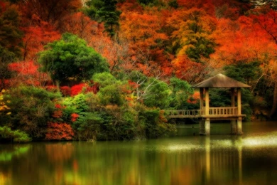 Fall Scene Wallpapers   Wallpapers Cave