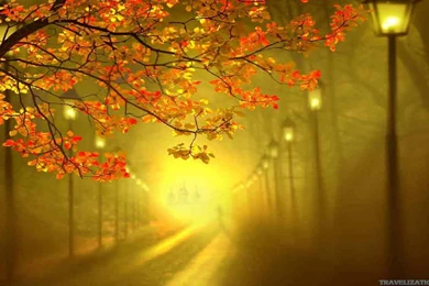 Spectacular Autumn Scenes Wallpapers