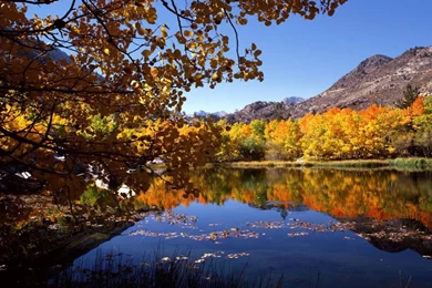 Fall Scene Wallpapers   Wallpapers Cave