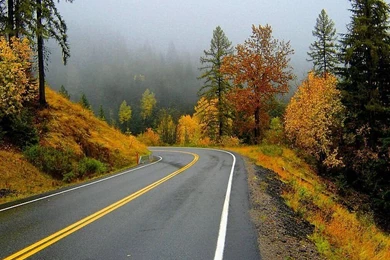 Fall Scenes And Fall Foliages   Wallcoo.net