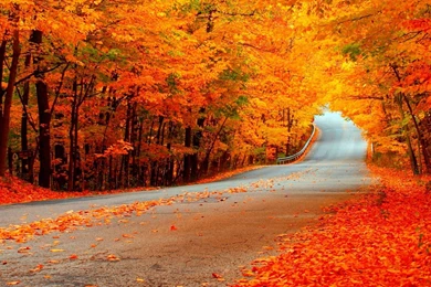 Fall Desktop Wallpapers, Fall Images Free, New Wallpapers
