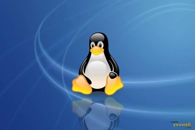 YouWall   Linux Wallpapers   Wallpaper,wallpapers,free Wallpapers ...