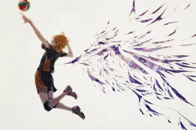 Haikyuu