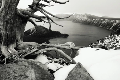 The Most Beautiful Black And White High Resolution Free Wallpapers ...