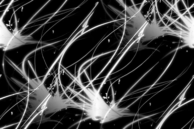 Black And White High Resolution (id: 32846) – BUZZERG