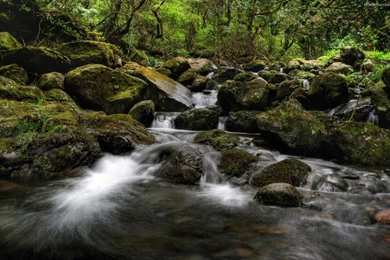 River Wallpapers Free Download New