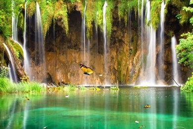 Gif As Desktop Backgrounds   Wallpapers HD Fine