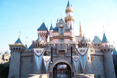 Sleeping Beauty Castle
