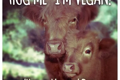 FREE 'Hug A Vegan' Day Phone Wallpapers